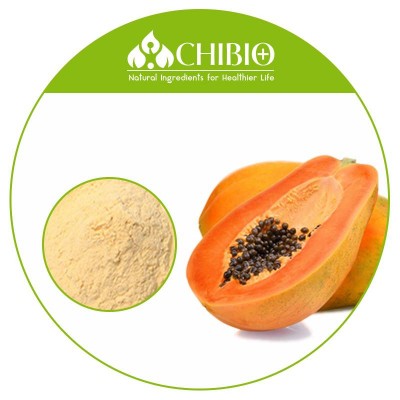 Food Grade Papaya Fruit Extract Papain Enzyme Ingredients